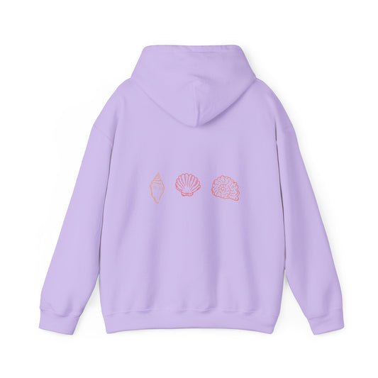 Forever chasing sunsets hoodie