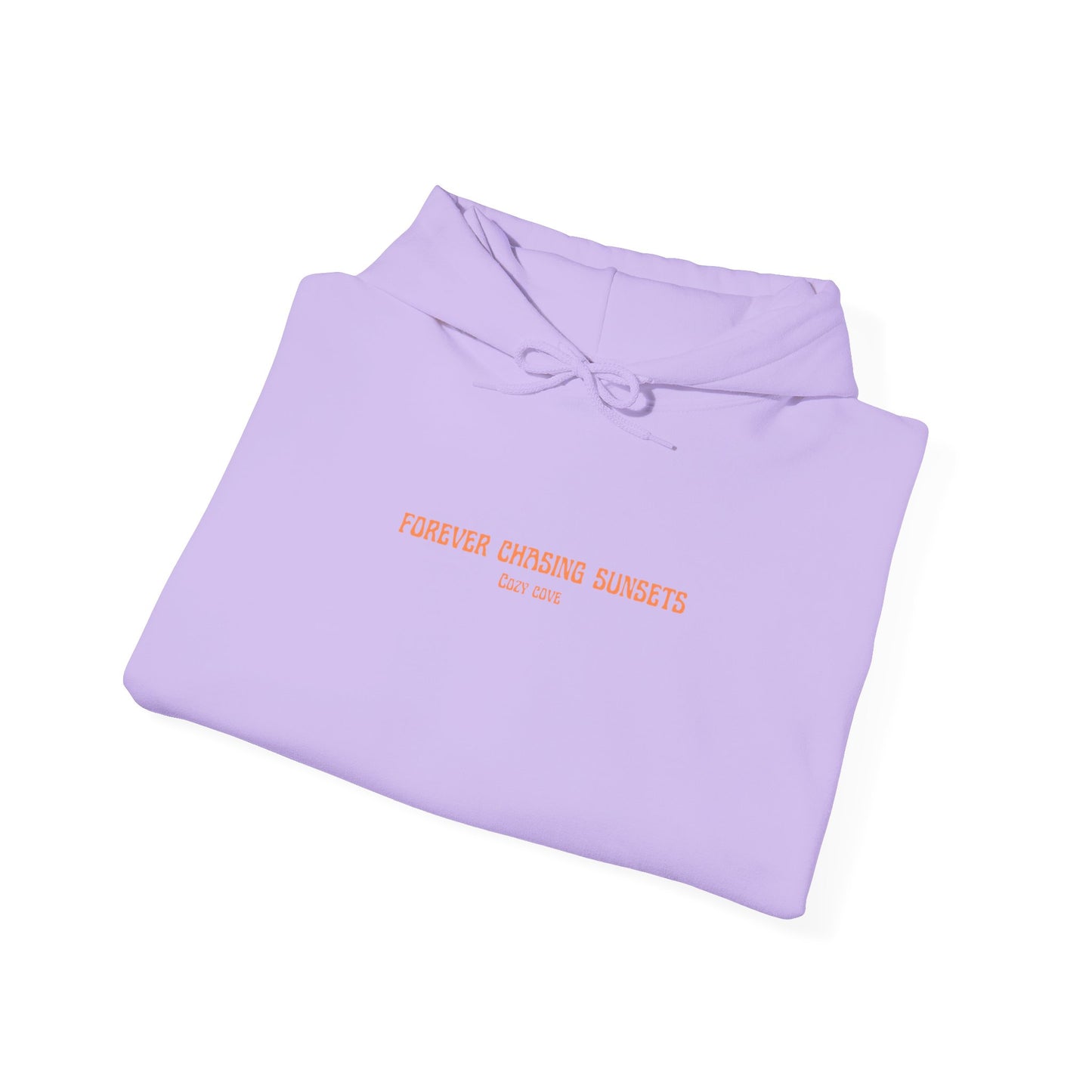 Forever chasing sunsets hoodie